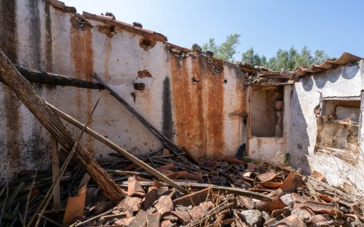 A flat olive grove with a ruin (232)