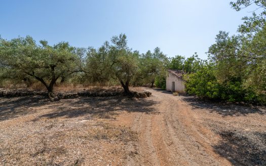 Big plot for farmers (233)
