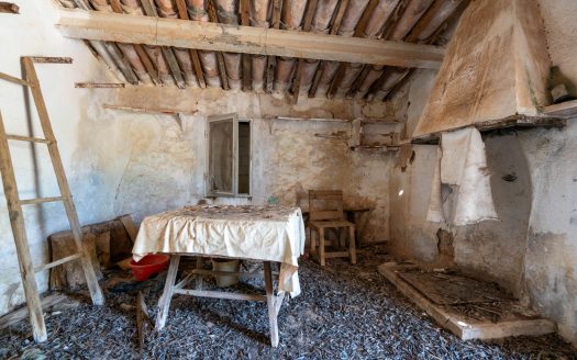 Big plot for farmers (233)