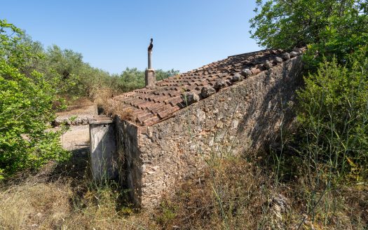 Big plot for farmers (233)