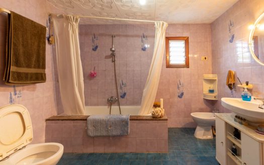 Large farmhouse near Tortosa (239)