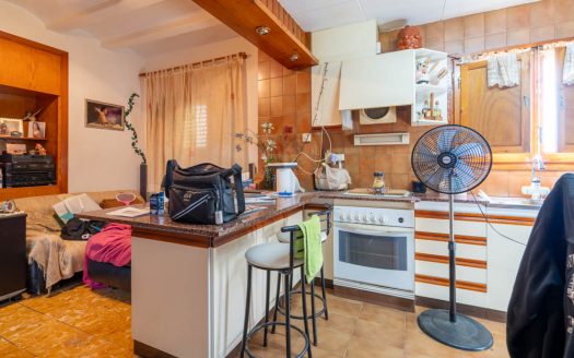 Large farmhouse near Tortosa (239)