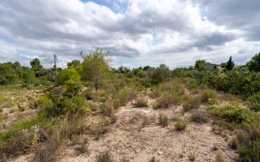 3-hectare plot with water (247)