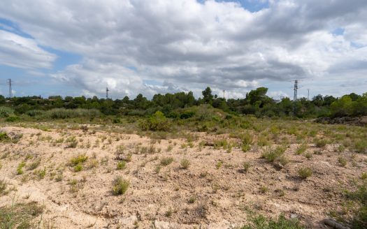 3-hectare plot with water (247)
