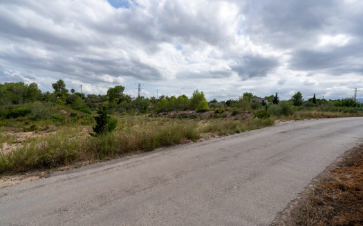 3-hectare plot with water (247)