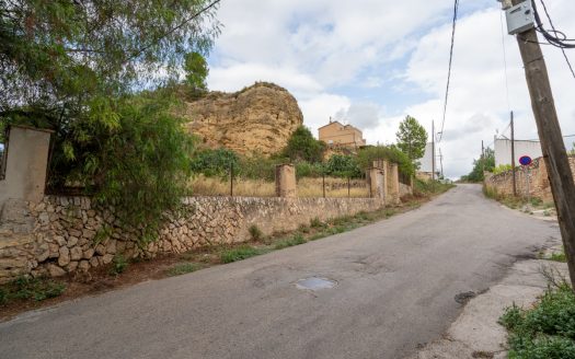 To have a break in the city (246)