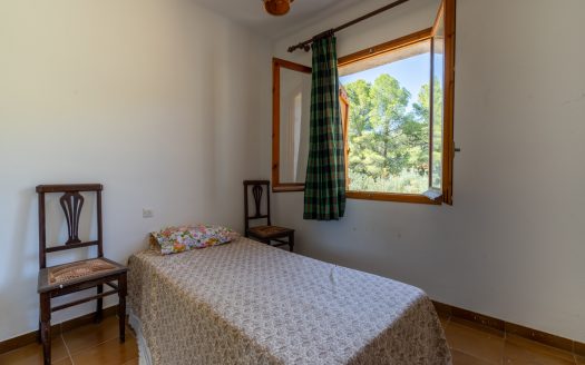 Ubicació amb gran potencial (251)