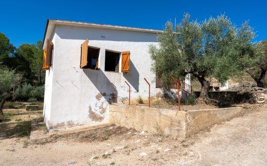 Ubicació amb gran potencial (251)