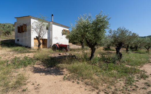 Ubicació amb gran potencial (251)
