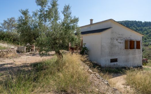 Ubicació amb gran potencial (251)