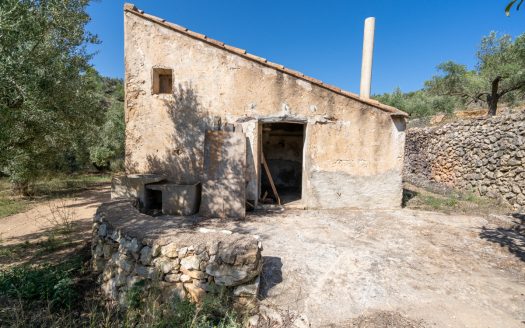 Ubicació amb gran potencial (251)