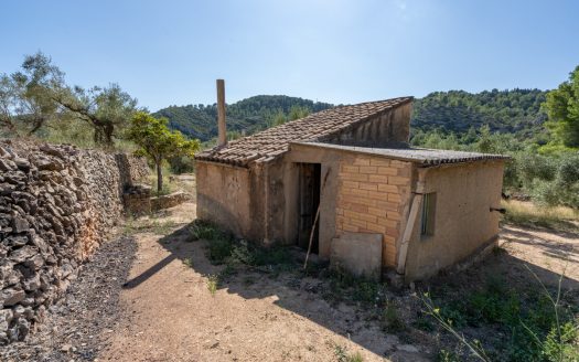 Ubicació amb gran potencial (251)