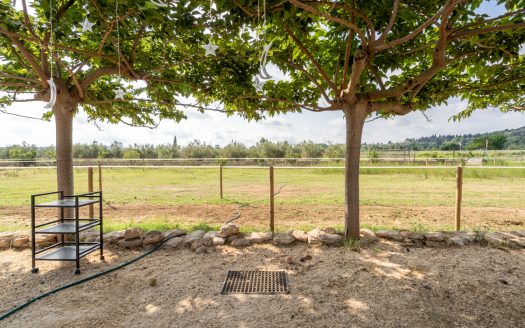 Estate ready for horses (256)