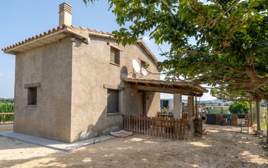 Estate ready for horses (256)