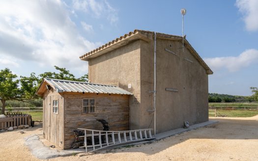Estate ready for horses (256)