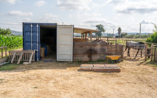 Estate ready for horses (256)