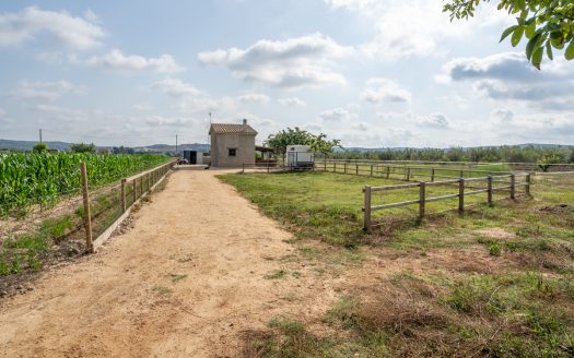 Estate ready for horses (256)