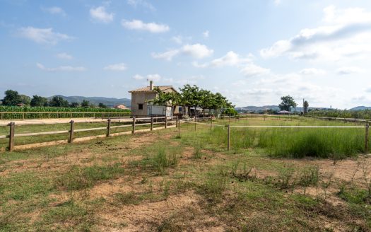 Estate ready for horses (256)