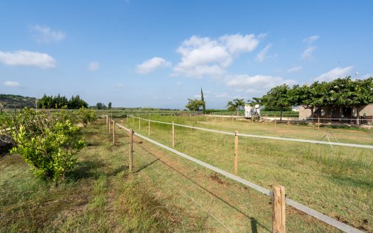 Estate ready for horses (256)
