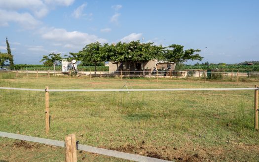 Estate ready for horses (256)