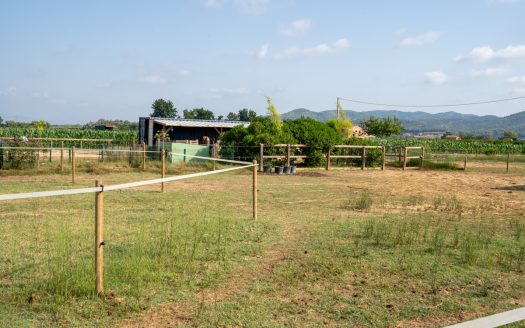 Estate ready for horses (256)