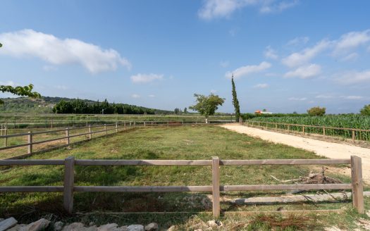 Estate ready for horses (256)