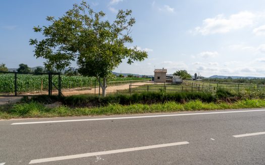 Estate ready for horses (256)