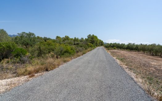 A large estate with irrigation water (257)