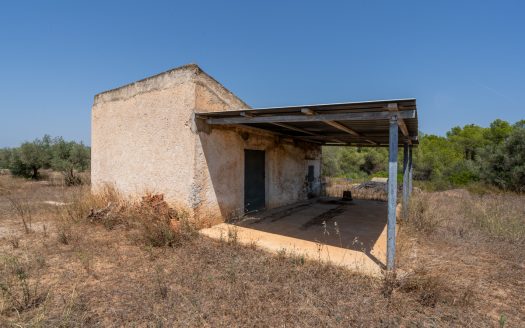 A large estate with irrigation water (257)