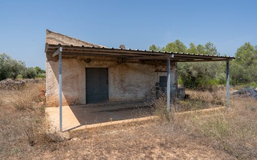 A large estate with irrigation water (257)