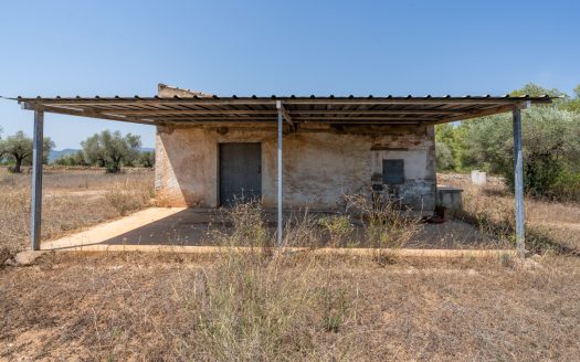 A large estate with irrigation water (257)