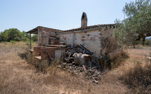 A large estate with irrigation water (257)