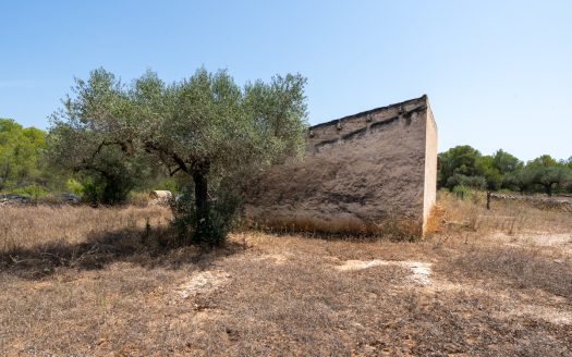A large estate with irrigation water (257)