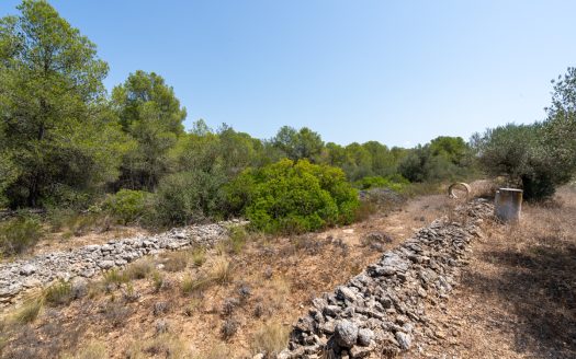 A large estate with irrigation water (257)