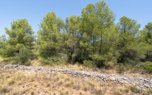 A large estate with irrigation water (257)