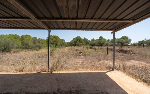 A large estate with irrigation water (257)