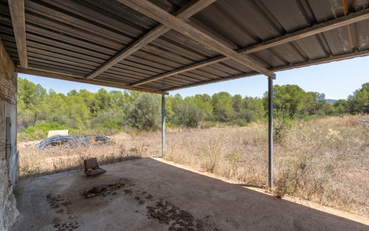 A large estate with irrigation water (257)