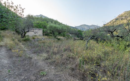 Property near the village (259)