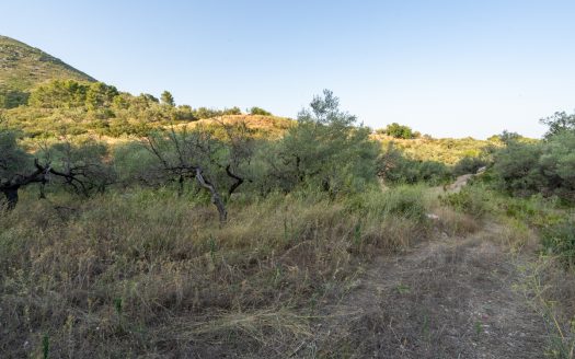 Property near the village (259)