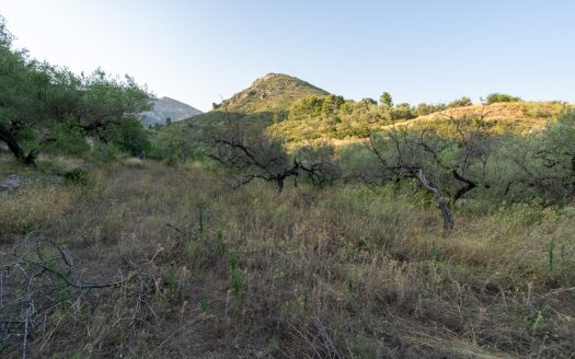 Property near the village (259)