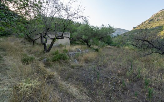 Property near the village (259)