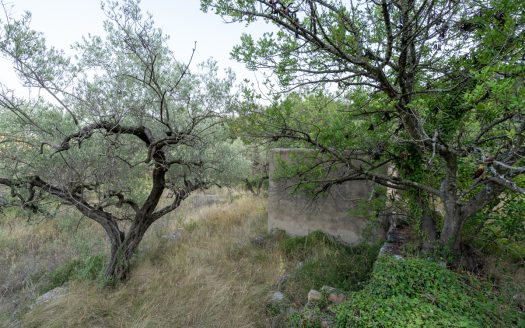 Property near the village (259)