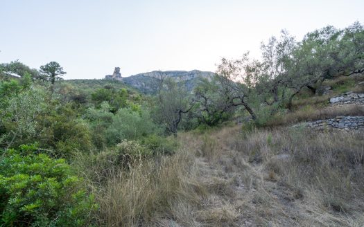 Property near the village (259)