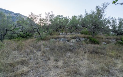 Property near the village (259)