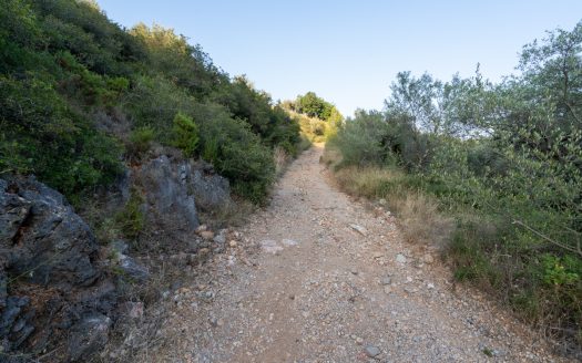 Property near the village (259)