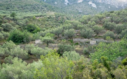 Property near the village (259)