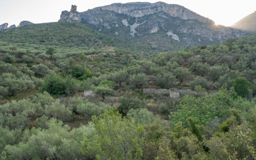 Property near the village (259)
