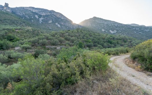 Property near the village (259)