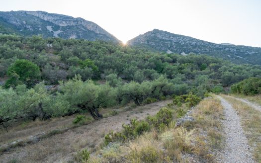 Property near the village (259)