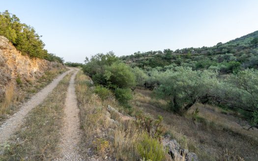 Property near the village (259)